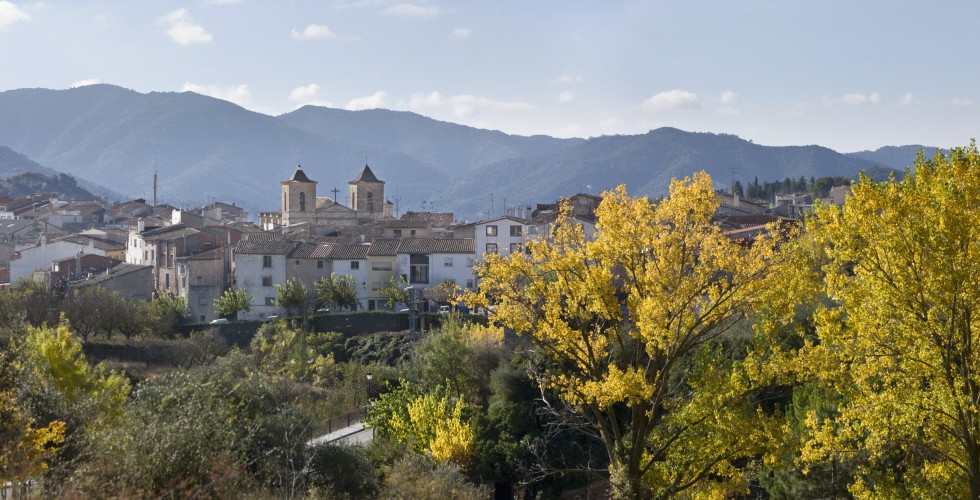 CORNUDELLA - Panoràmica poble 2